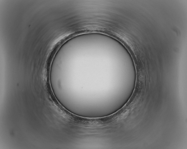 X0000112070979200908181216