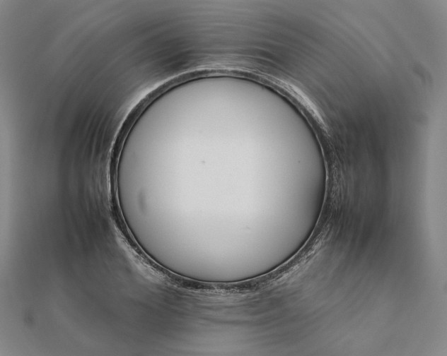 X0000112070980200908181216