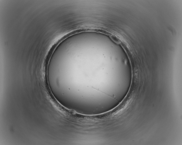 X0000112070981200908181216