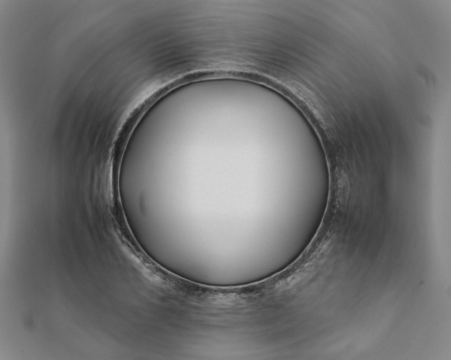 X0000112070982200908181216