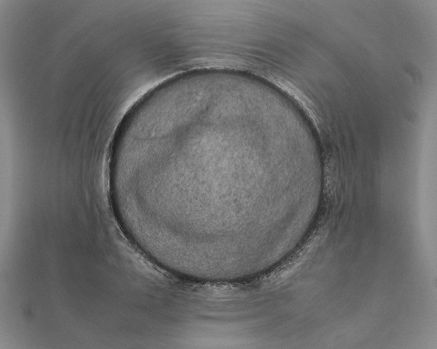 X0000112070983200908181216