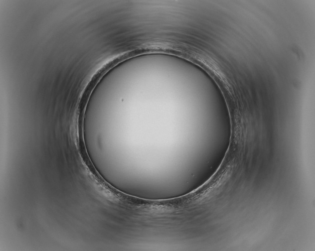 X0000112070984200908181216