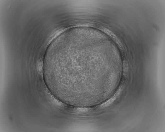 X0000112070985200908181216