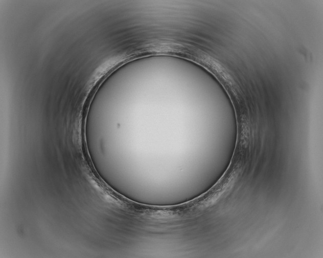 X0000112070986200908181216