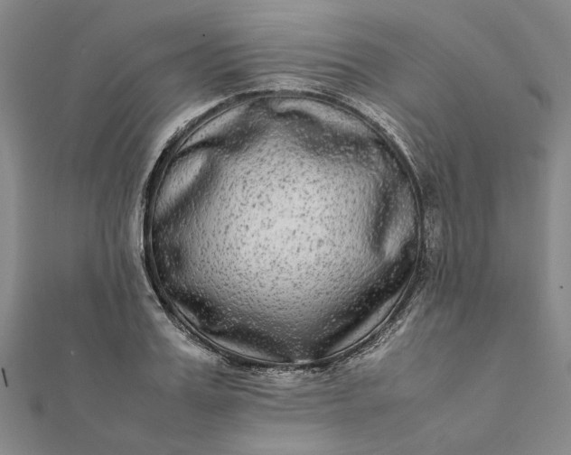 X0000112070987200908181216