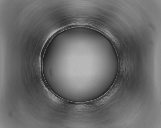 X0000112070988200908181216