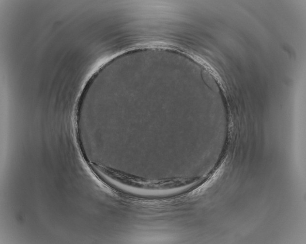 X0000112070989200908181216