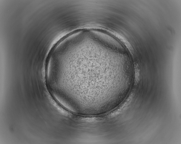 X0000112070990200908181216