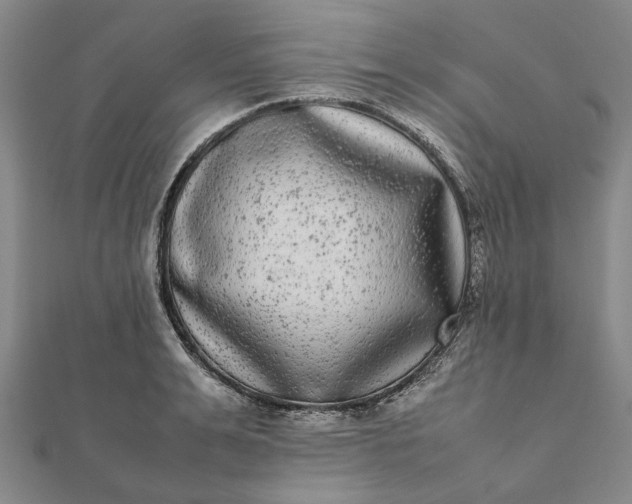 X0000112070991200908181216