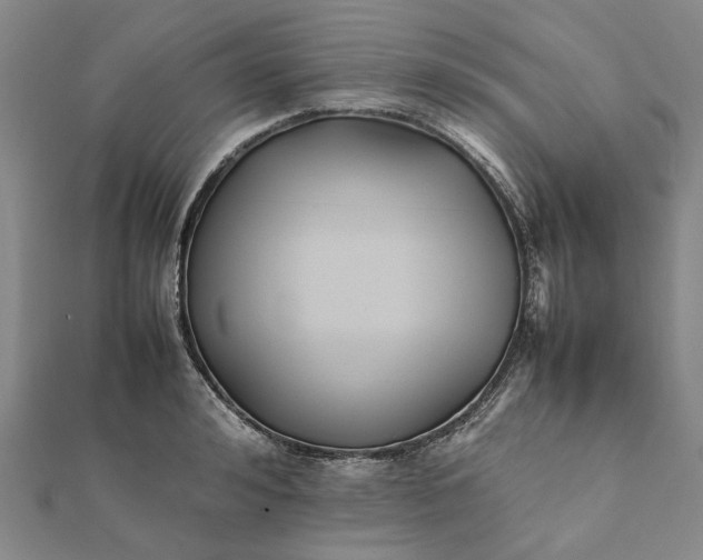 X0000112070992200908181216