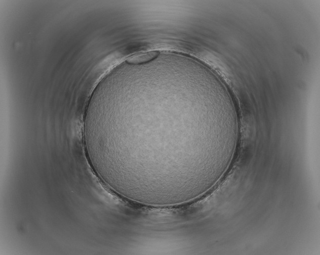 X0000112070993200908181216