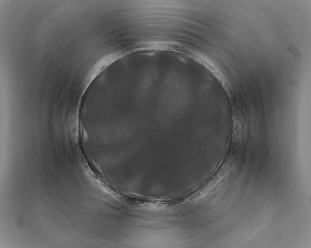 X0000112070994200908181216