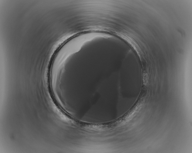 X0000112070995200908181216