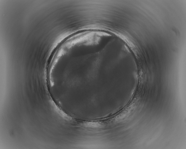 X0000112070998200908181216