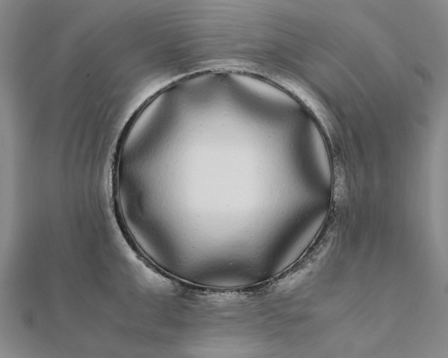 X0000112070999200908181216