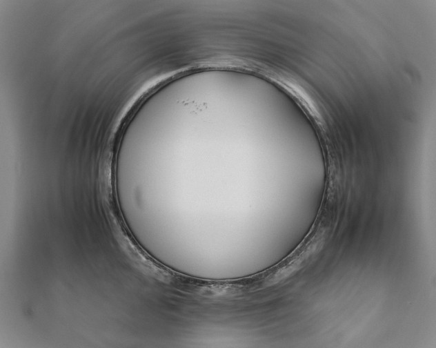 X0000112071000200908181216