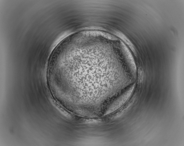 X0000112071002200908181216