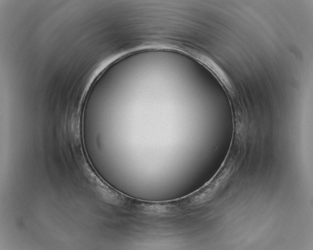 X0000112071004200908181216