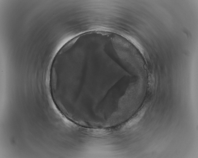 X0000112071007200908181216