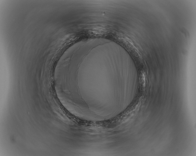 X0000112071009200908181215