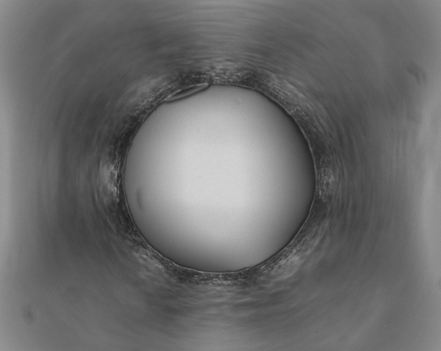 X0000112071010200908181215