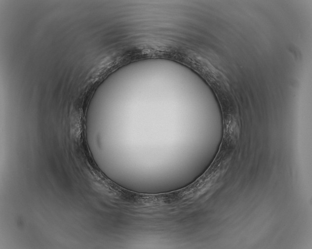 X0000112071012200908181215