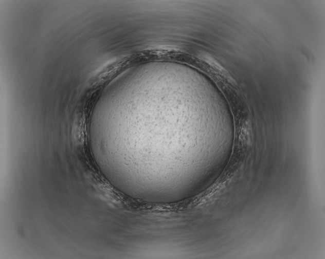 X0000112071014200908181215