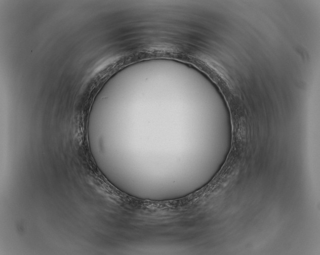 X0000112071015200908181215