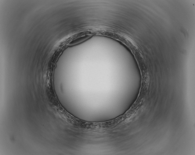 X0000112071016200908181215