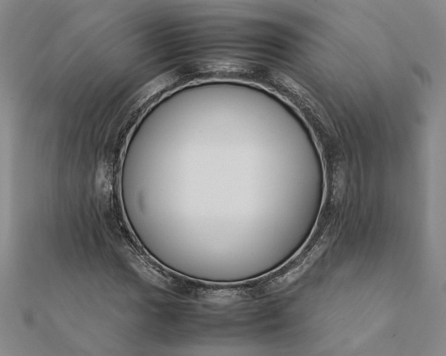 X0000112071017200908181215