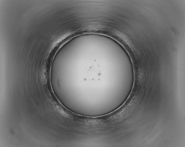 X0000112071018200908181215