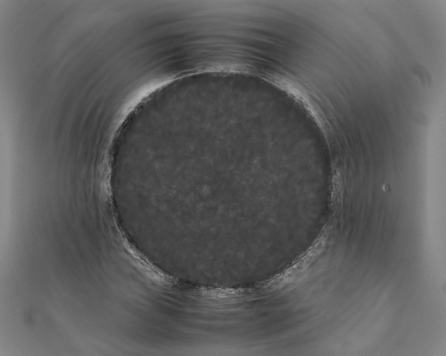 X0000112071019200908181215