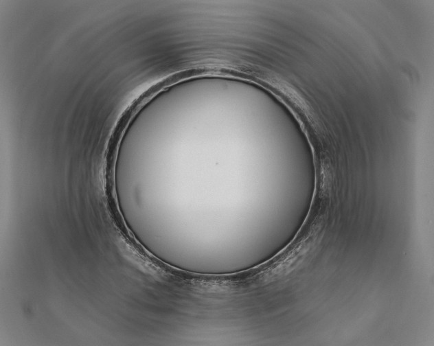 X0000112071020200908181215