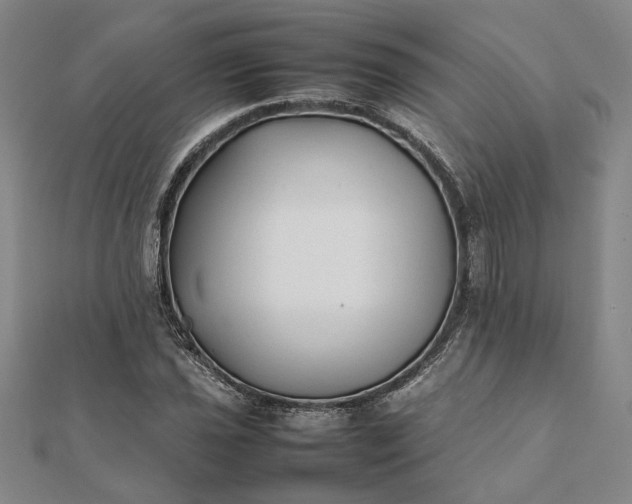 X0000112071021200908181215