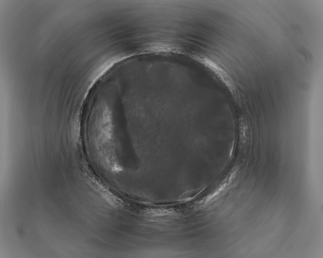 X0000112071023200908181215