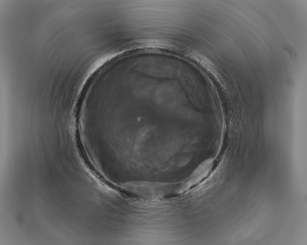 X0000112071024200908181215