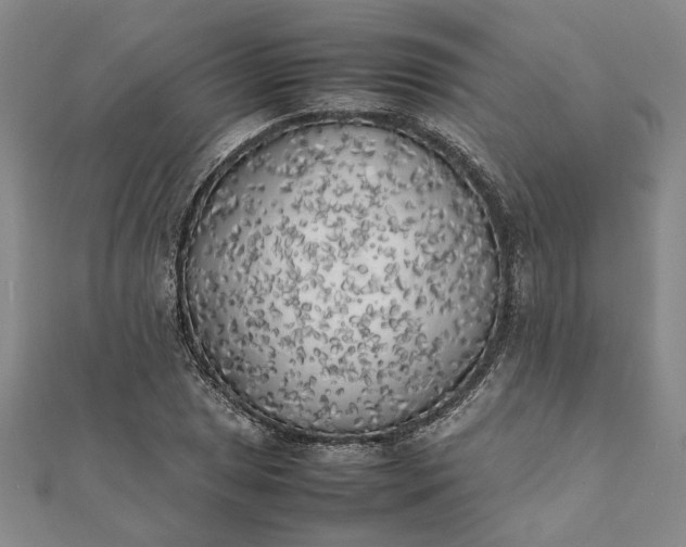 X0000112071025200908181215