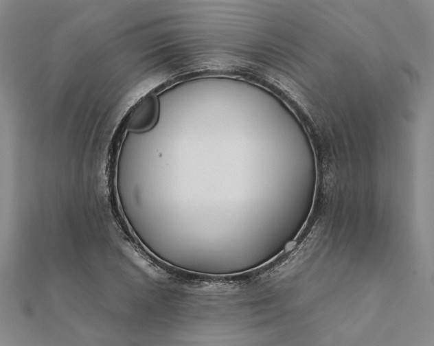 X0000112071026200908181215