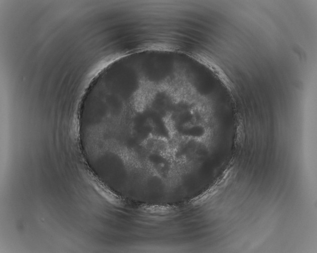 X0000112071027200908181215