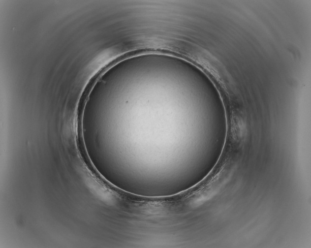 X0000112071028200908181215