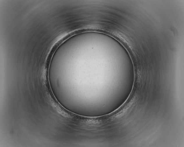 X0000112071029200908181215