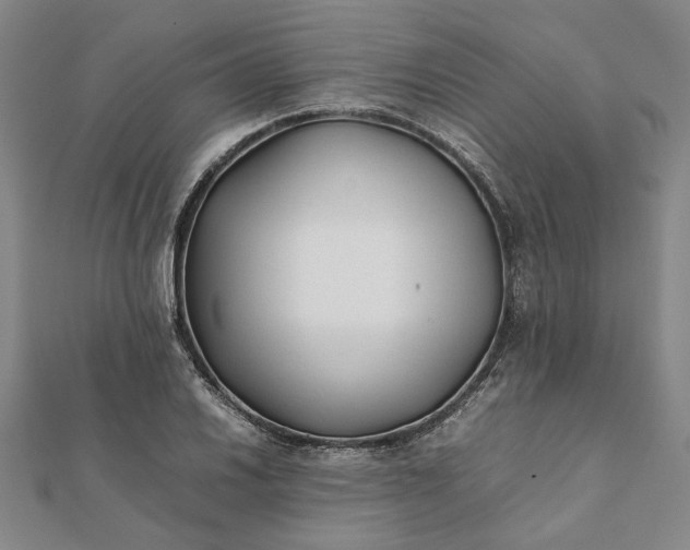 X0000112071030200908181216