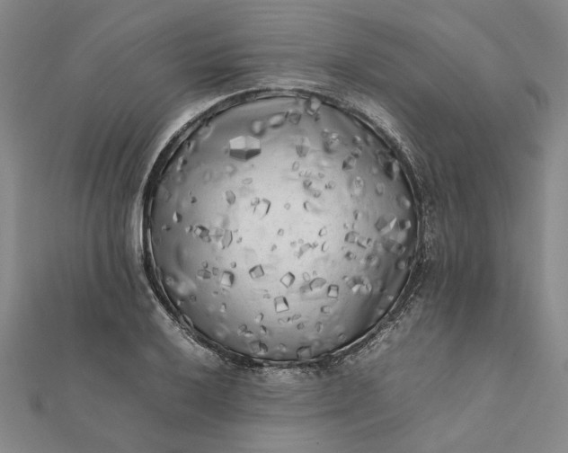 X0000112071032200908181216