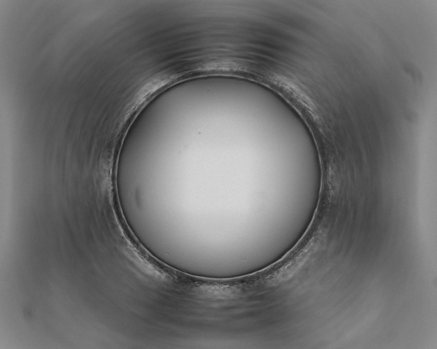 X0000112071033200908181216