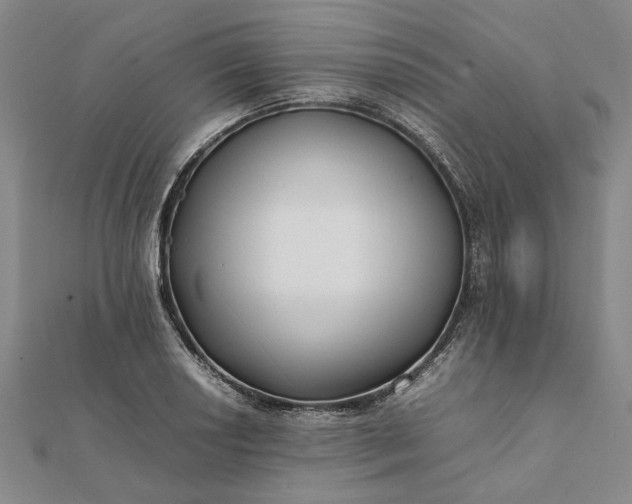 X0000112071034200908181216