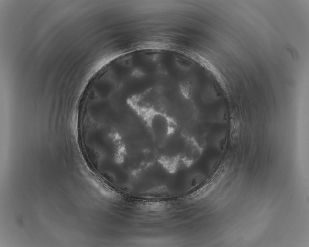 X0000112071035200908181216