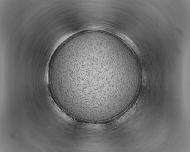 X0000112071036200908181216