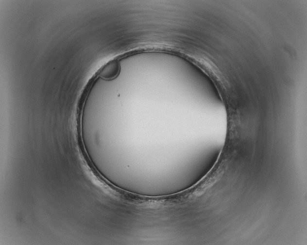 X0000112071038200908181216