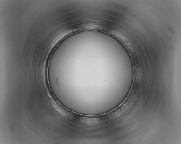 X0000112071039200908181216