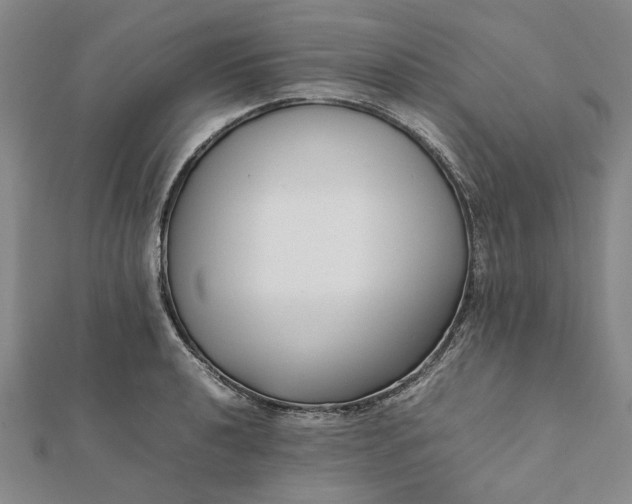 X0000112071040200908181216